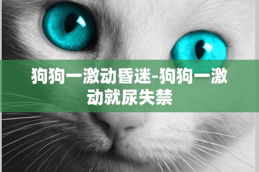 狗狗一激動昏迷-狗狗一激動就尿失禁