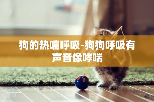 狗的熱喘呼吸-狗狗呼吸有聲音像哮喘