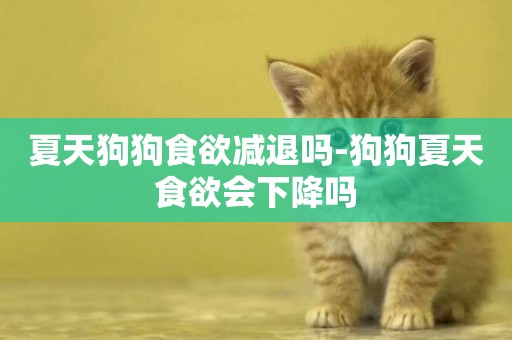 夏天狗狗食欲減退嗎-狗狗夏天食欲會下降嗎