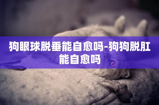 狗眼球脫垂能自愈嗎-狗狗脫肛能自愈嗎