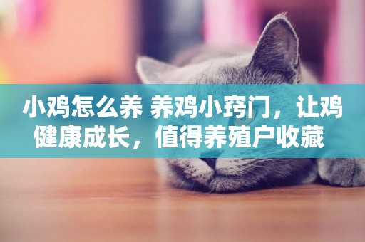 小雞怎么養 養雞小竅門，讓雞健康成長，值得養殖戶收藏 