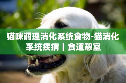 貓咪調理消化系統食物-貓消化系統疾病｜食道憩室