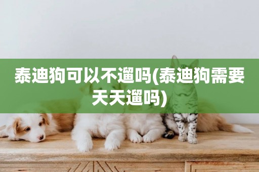 泰迪狗可以不遛嗎(泰迪狗需要天天遛嗎)