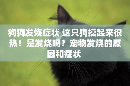 狗狗發燒癥狀 這只狗摸起來很熱！是發燒嗎？寵物發燒的原因和癥狀 
