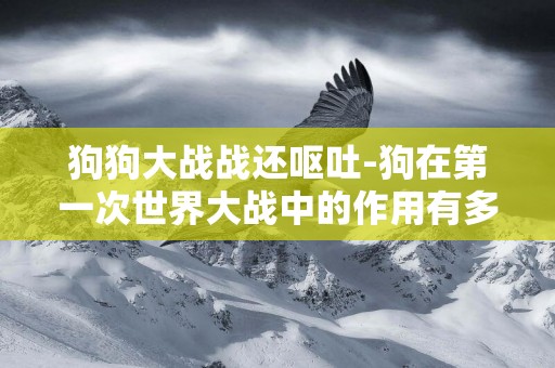狗狗大戰戰還嘔吐-狗在第一次世界大戰中的作用有多大