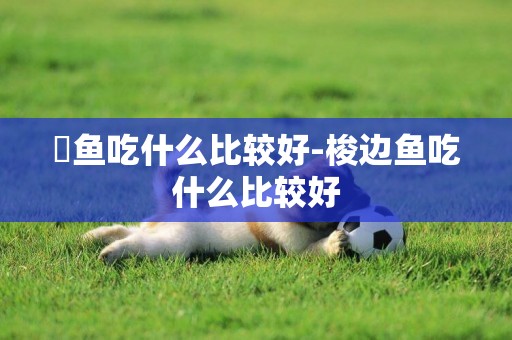 魟魚吃什么比較好-梭邊魚吃什么比較好