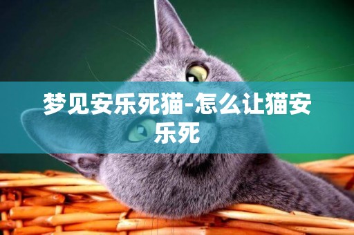 夢見安樂死貓-怎么讓貓安樂死