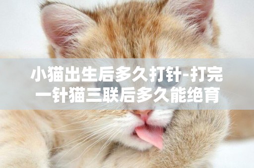 小貓出生后多久打針-打完一針貓三聯后多久能絕育