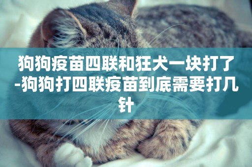狗狗疫苗四聯和狂犬一塊打了-狗狗打四聯疫苗到底需要打幾針