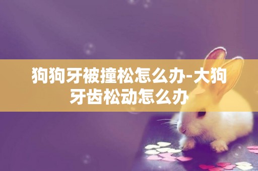 狗狗牙被撞松怎么辦-大狗牙齒松動怎么辦