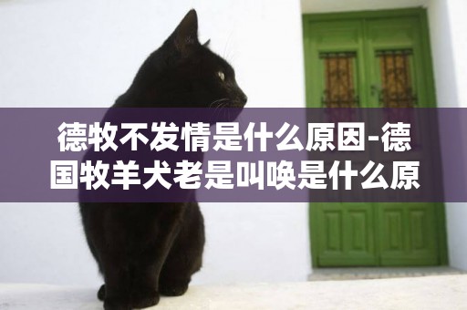 德牧不發情是什么原因-德國牧羊犬老是叫喚是什么原因