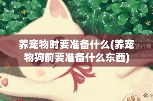 養寵物時要準備什么(養寵物狗前要準備什么東西)