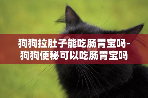 狗狗拉肚子能吃腸胃寶嗎-狗狗便秘可以吃腸胃寶嗎