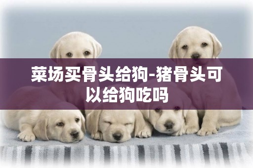 菜場買骨頭給狗-豬骨頭可以給狗吃嗎