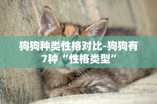 狗狗種類性格對比-狗狗有7種“性格類型”