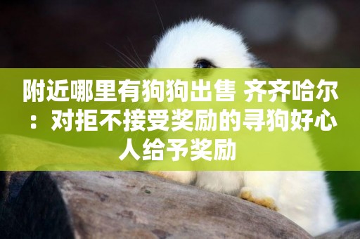 附近哪里有狗狗出售 齊齊哈爾：對拒不接受獎勵的尋狗好心人給予獎勵 