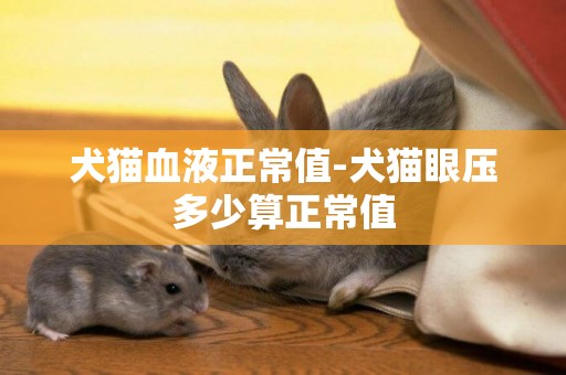 犬貓血液正常值-犬貓眼壓多少算正常值