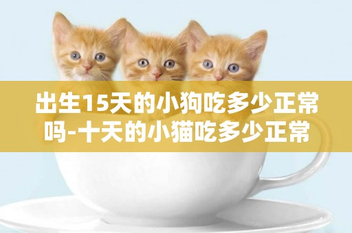 出生15天的小狗吃多少正常嗎-十天的小貓吃多少正常嗎