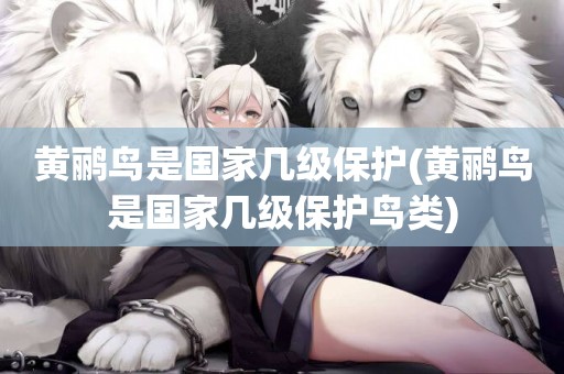 黃鸝鳥是國家幾級保護(黃鸝鳥是國家幾級保護鳥類)