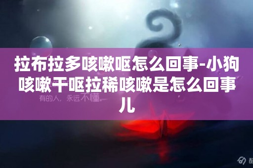 拉布拉多咳嗽嘔怎么回事-小狗咳嗽干嘔拉稀咳嗽是怎么回事兒