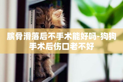 臏骨滑落后不手術能好嗎-狗狗手術后傷口老不好