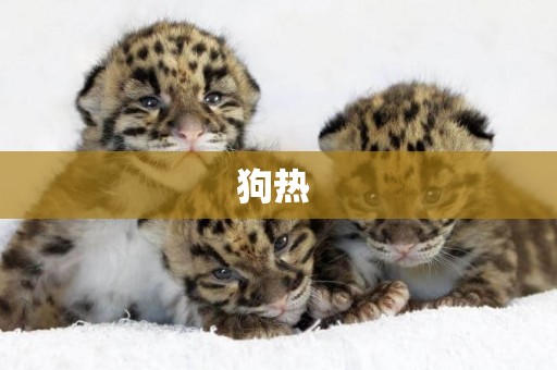 狗熱 