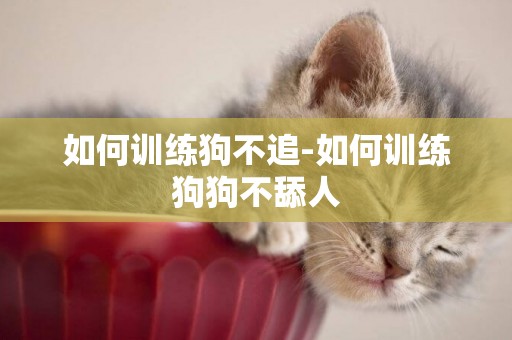 如何訓練狗不追-如何訓練狗狗不舔人