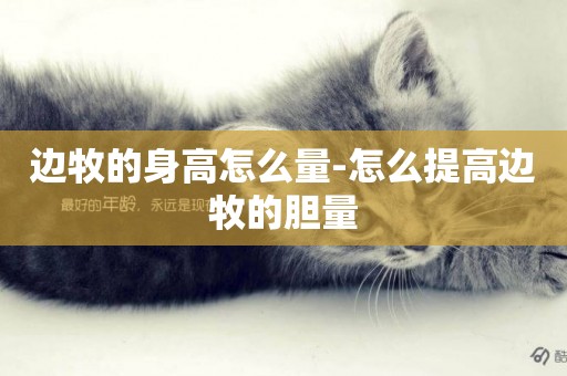 邊牧的身高怎么量-怎么提高邊牧的膽量