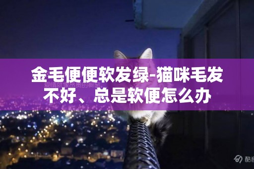 金毛便便軟發綠-貓咪毛發不好、總是軟便怎么辦