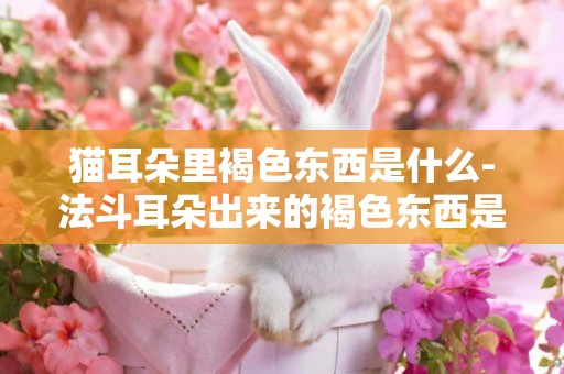 貓耳朵里褐色東西是什么-法斗耳朵出來的褐色東西是什么