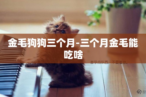 金毛狗狗三個月-三個月金毛能吃啥