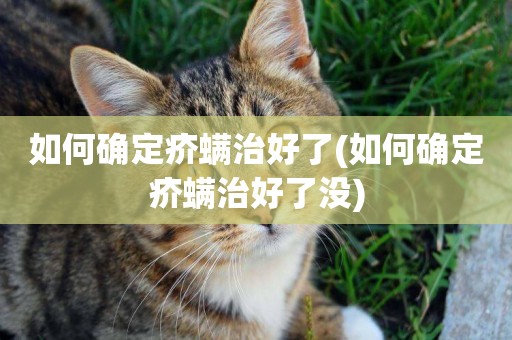 如何確定疥螨治好了(如何確定疥螨治好了沒)