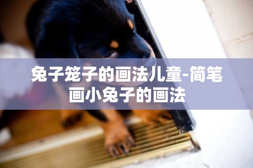 兔子籠子的畫法兒童-簡筆畫小兔子的畫法
