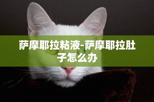 薩摩耶拉粘液-薩摩耶拉肚子怎么辦