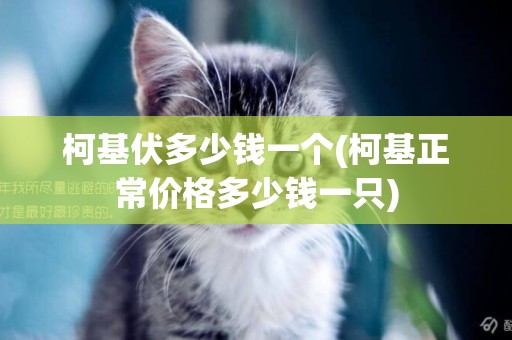 柯基伏多少錢一個(柯基正常價格多少錢一只)