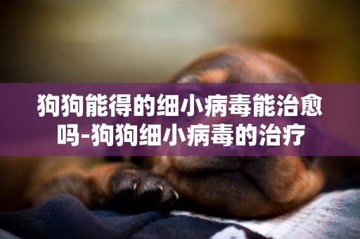 狗狗能得的細小病毒能治愈嗎-狗狗細小病毒的治療