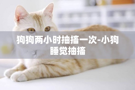 狗狗兩小時抽搐一次-小狗睡覺抽搐
