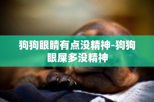 狗狗眼睛有點沒精神-狗狗眼屎多沒精神