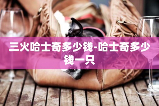 三火哈士奇多少錢-哈士奇多少錢一只