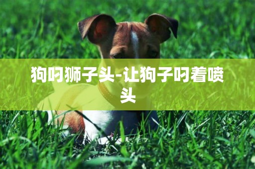狗叼獅子頭-讓狗子叼著噴頭