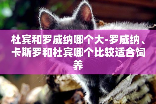 杜賓和羅威納哪個大-羅威納、卡斯羅和杜賓哪個比較適合飼養