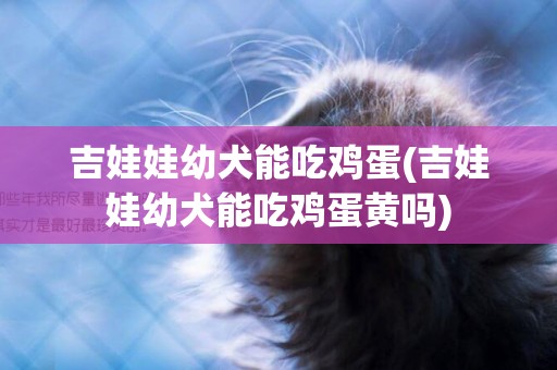 吉娃娃幼犬能吃雞蛋(吉娃娃幼犬能吃雞蛋黃嗎)