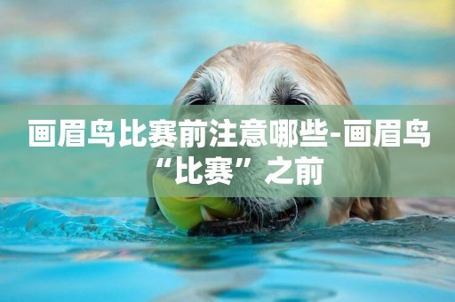 畫眉鳥比賽前注意哪些-畫眉鳥“比賽”之前