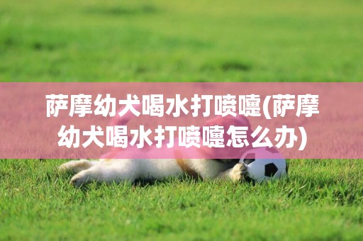 薩摩幼犬喝水打噴嚏(薩摩幼犬喝水打噴嚏怎么辦)