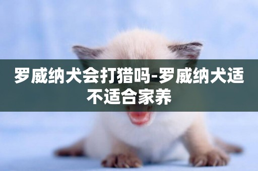 羅威納犬會打獵嗎-羅威納犬適不適合家養