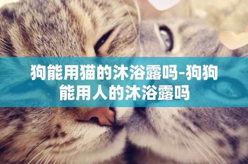 狗能用貓的沐浴露嗎-狗狗能用人的沐浴露嗎
