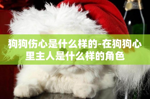 狗狗傷心是什么樣的-在狗狗心里主人是什么樣的角色