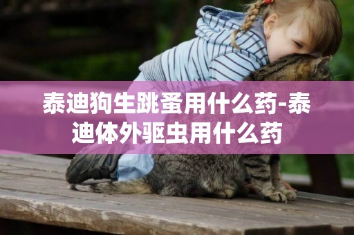 泰迪狗生跳蚤用什么藥-泰迪體外驅蟲用什么藥