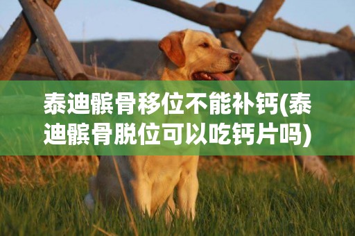 泰迪髕骨移位不能補鈣(泰迪髕骨脫位可以吃鈣片嗎)