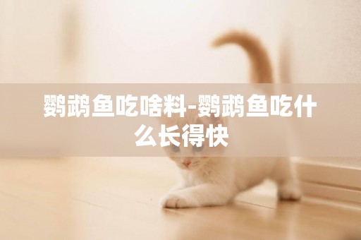 鸚鵡魚吃啥料-鸚鵡魚吃什么長得快